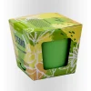Window Candle Boxes